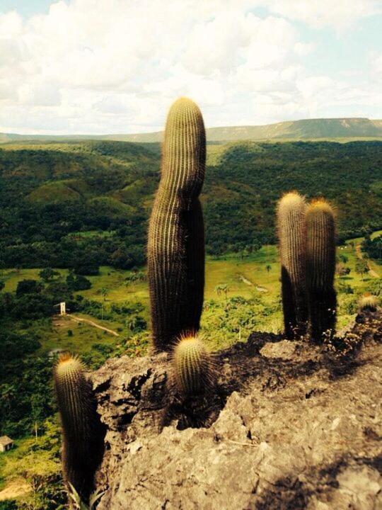 Pousada Estacao Lunar - Terra Ronca Sao Domingos de Goias ภายนอก รูปภาพ